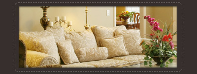 upholstered furniture cleaning La Vergne,TN