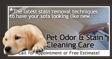 pet odor and stain removal