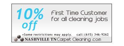 Carpet Cleaning Services