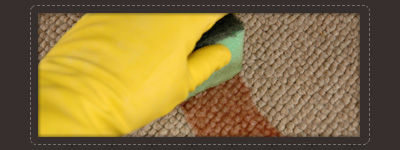 carpet cleaning La Vergne,TN